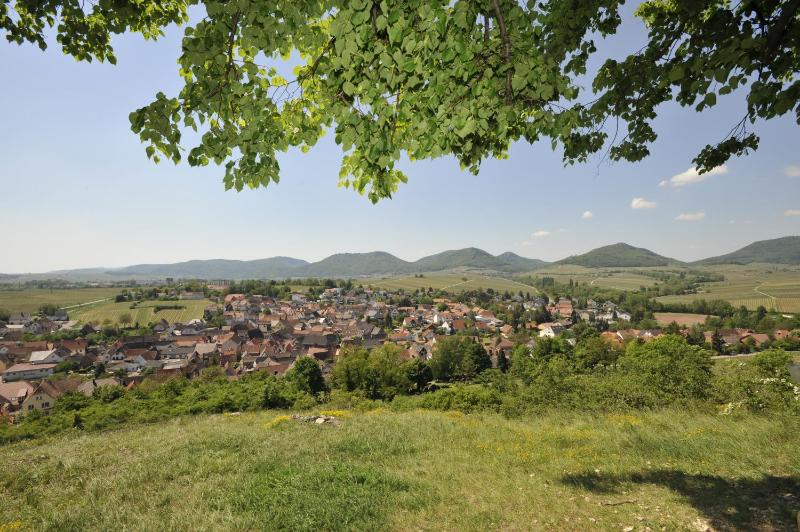 Duplex Suite image 4