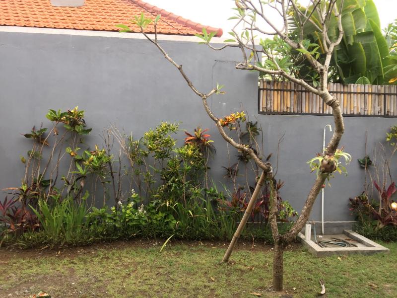 Mesari Guest House - image 21