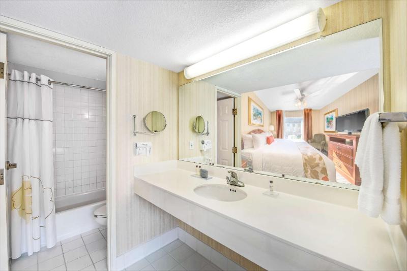 One-Bedroom Accessible Suite with 1 Queen Bed, Non-Smoking  image 1