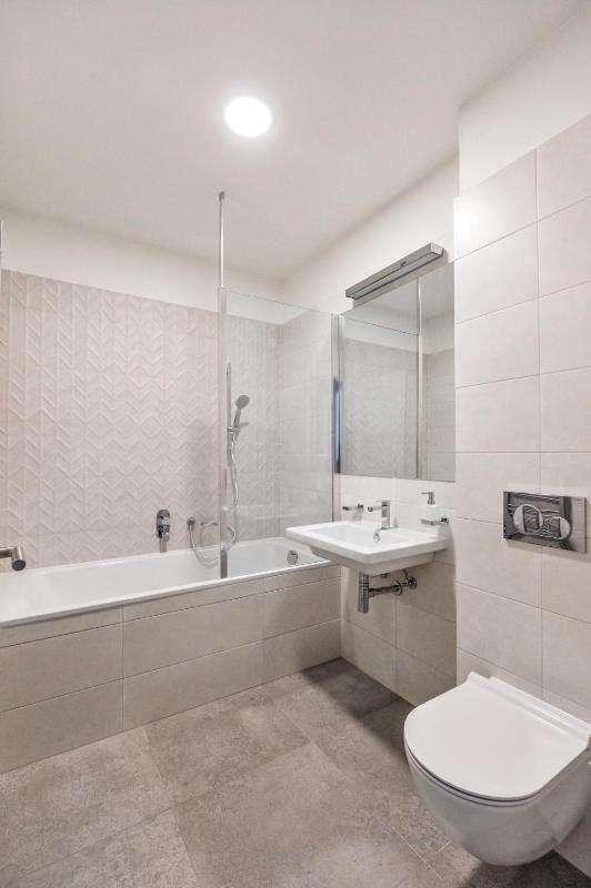 One-Bedroom Apartment image 4