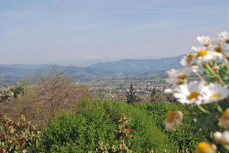 Montefiore by Salogi Villas - image 8