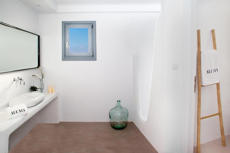 Superior Suite with Private Plunge Pool image 4