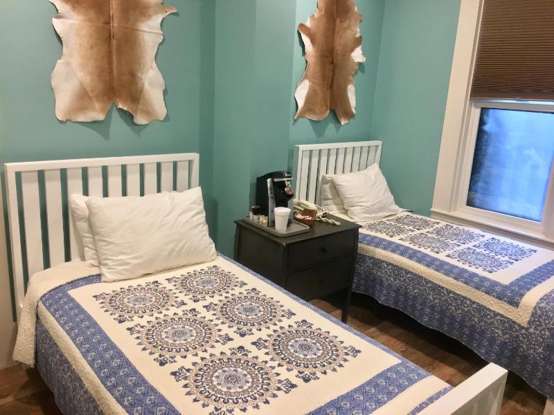 Deluxe Twin Room image 2