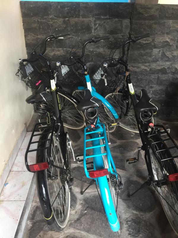 Mesari Guest House - image 24