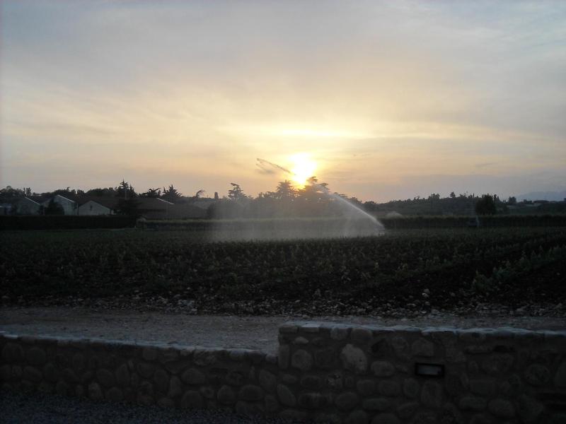 Agriturismo Le Campagnole - image 8