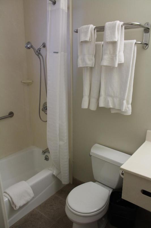 Layne Hotel - image 14
