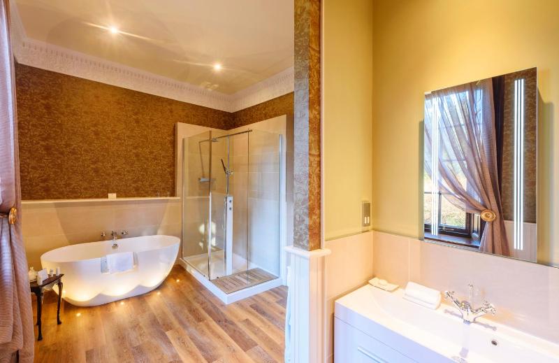 Deluxe Double Room image 4