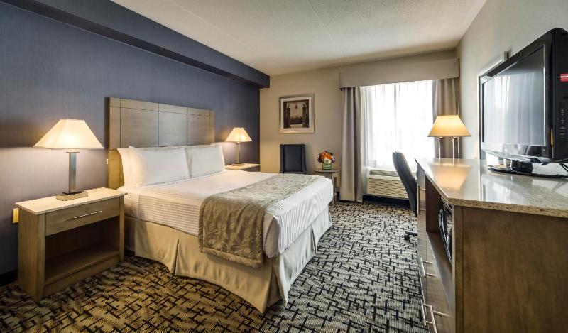 Standard Room with 1 Queen Bed