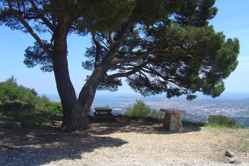 Best Western Plus Sanary - image 39