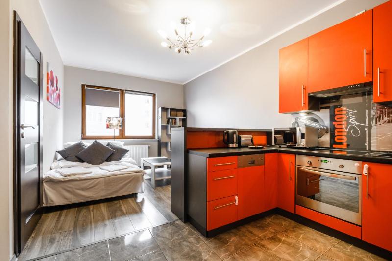 One-Bedroom Apartment image 2