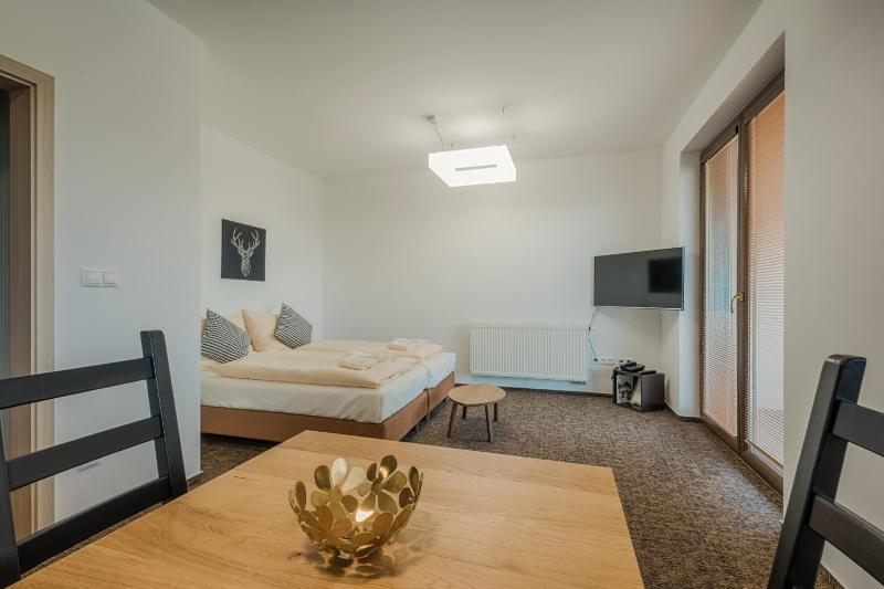 Standard Apartment image 3