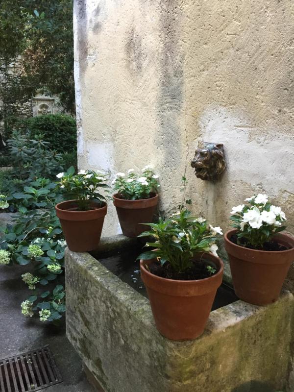 Face au Palais - image 6