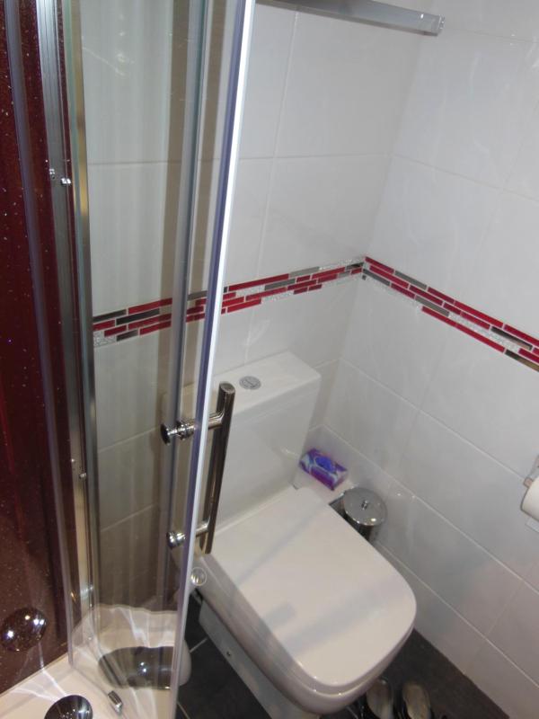 Family Room with Shower image 2