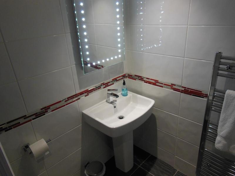 Family Room with Shower image 4