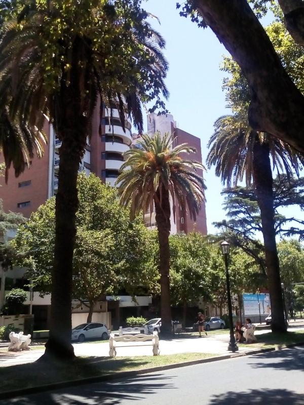 Isla Verde - image 4
