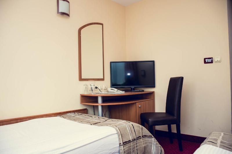 Economy Twin Room image 4