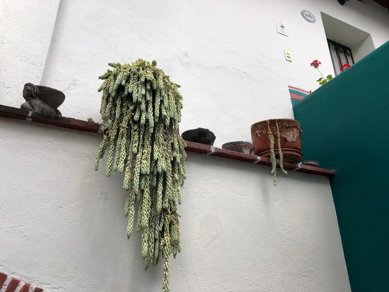 Meson del Penasco - image 13