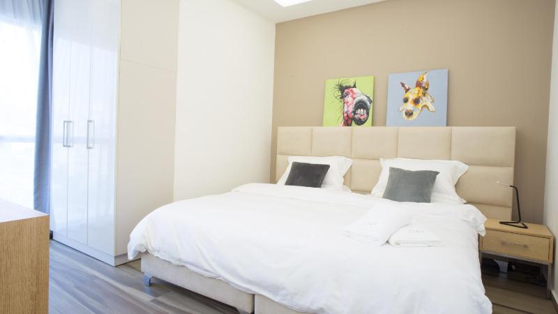 Deluxe Double or Twin Room with City View