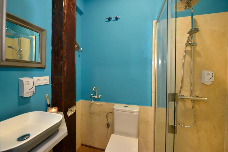 Center Suite Santander - image 18