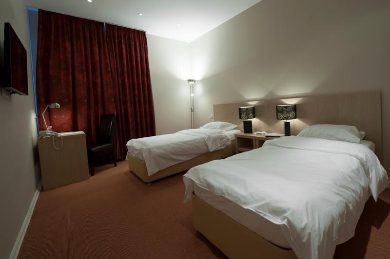 Superior Twin Room image 1