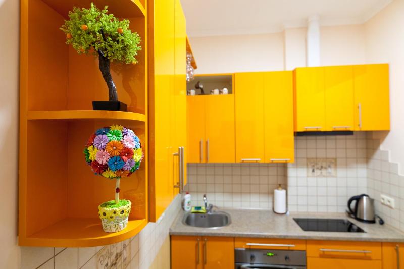 One-Bedroom Apartment image 2
