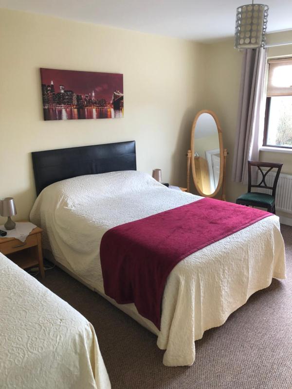 Double or Twin Room image 3