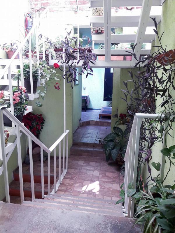 Oaxaquita la Bella - image 2
