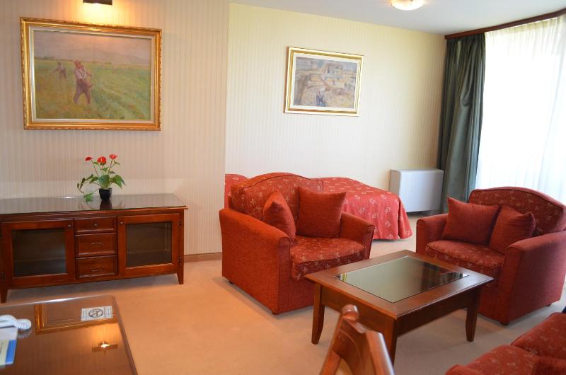 One-Bedroom Suite image 3