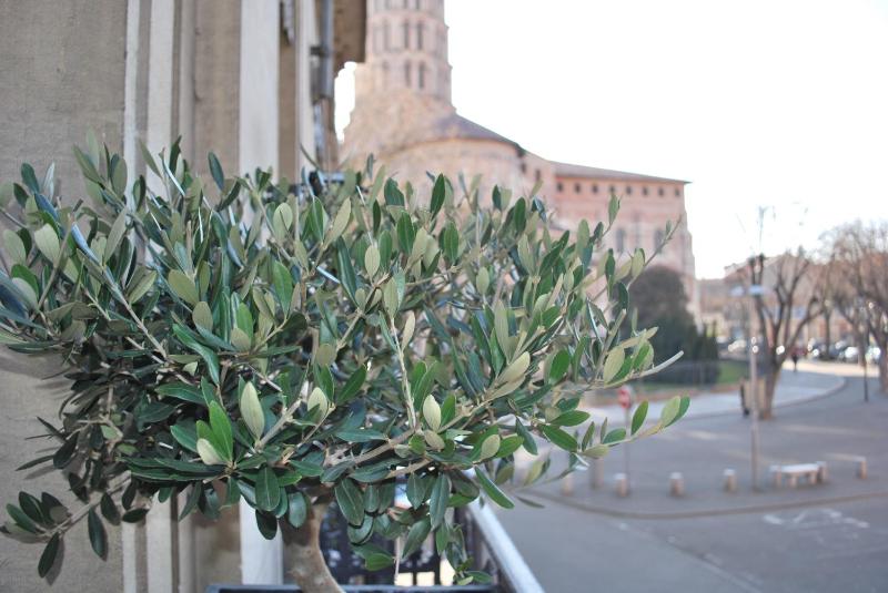 Hotel St Sernin - image 25