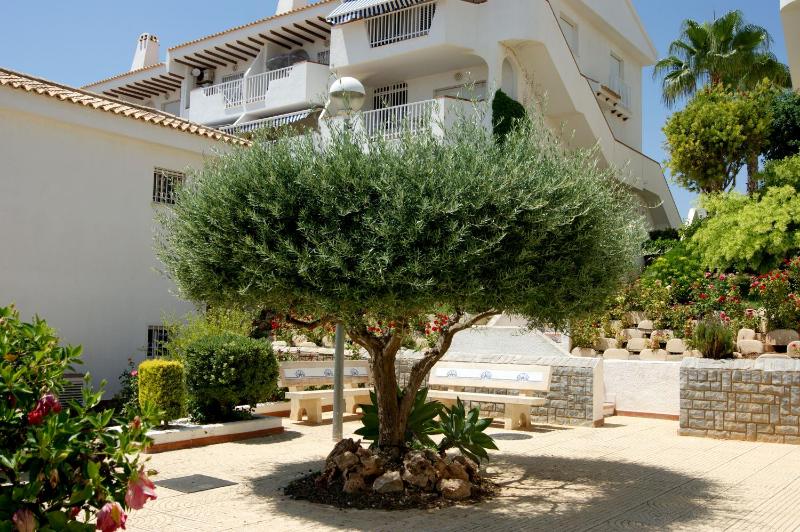 AGUAMARINA - Campoamor - Cerca de playa - image 34