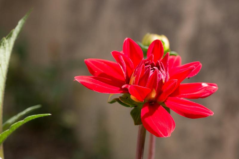 Apartment - Ground Floor image 2