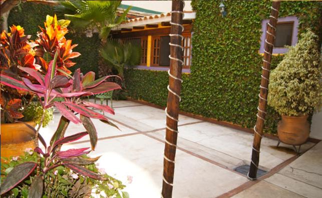 Suites Colibri - image 8