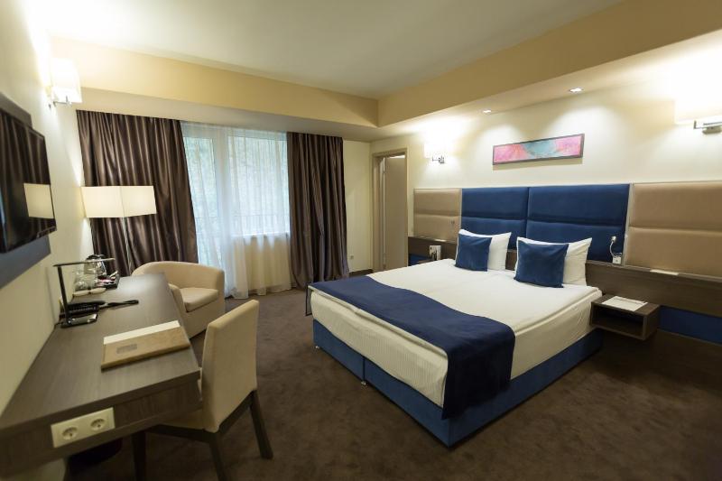 Deluxe Double Room image 4