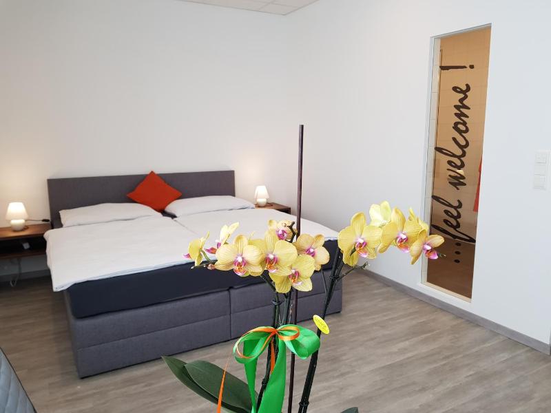 Deluxe Double Room image 3