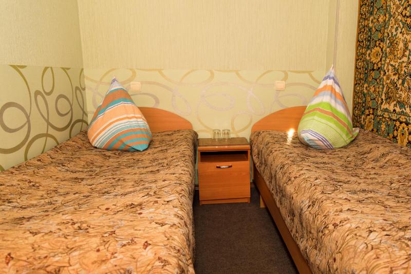 Budget Twin Room image 2