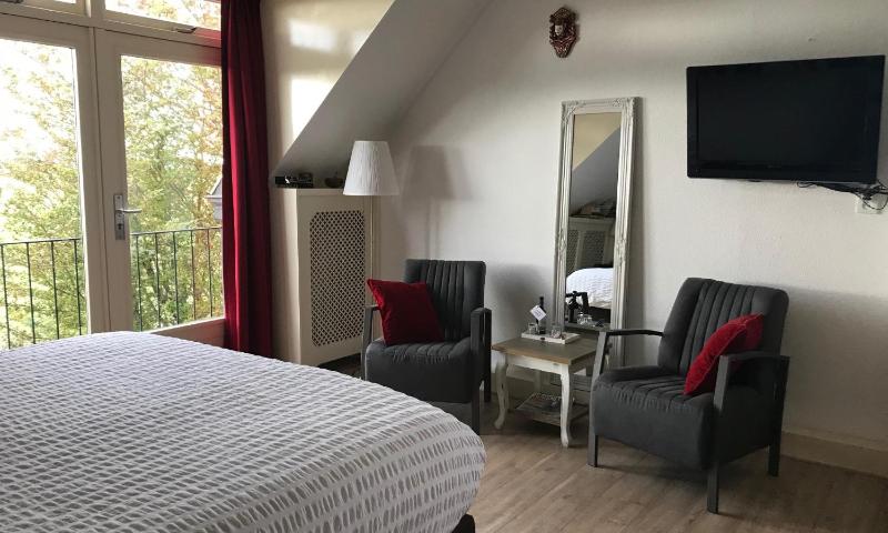 Superior Deluxe Double or Twin Room  image 3