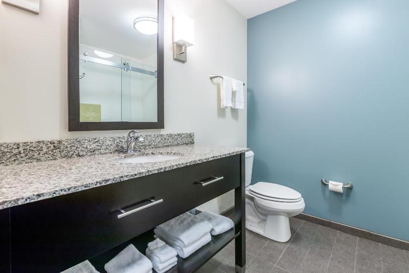 One-Bedroom King Suite with Sofa Bed - Non-Smoking image 2