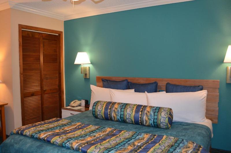King Room - Non-Smoking image 3