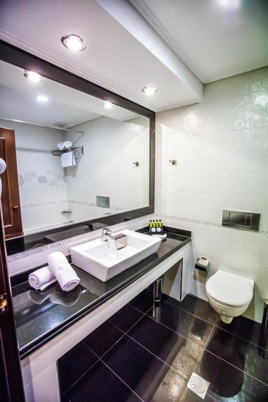 Executive Room image 4