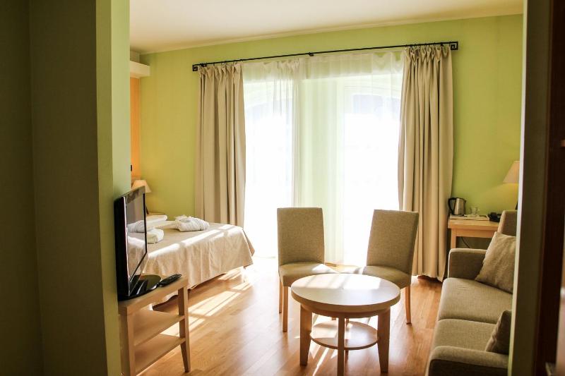 Superior Double or Twin Room image 2