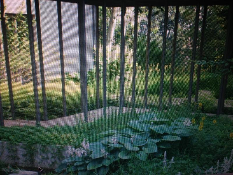 Apartment with Terrace image 4