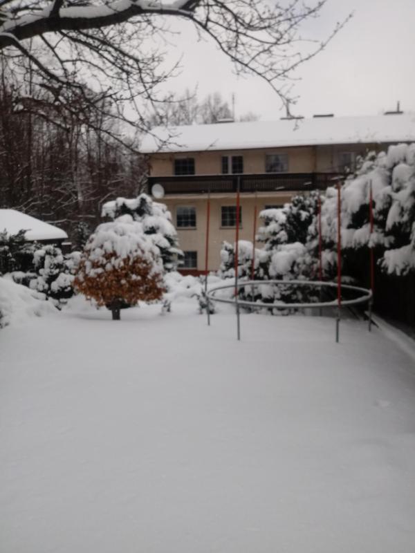 ApartamentVanessa - image 49