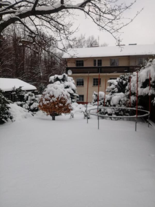 ApartamentVanessa - image 18