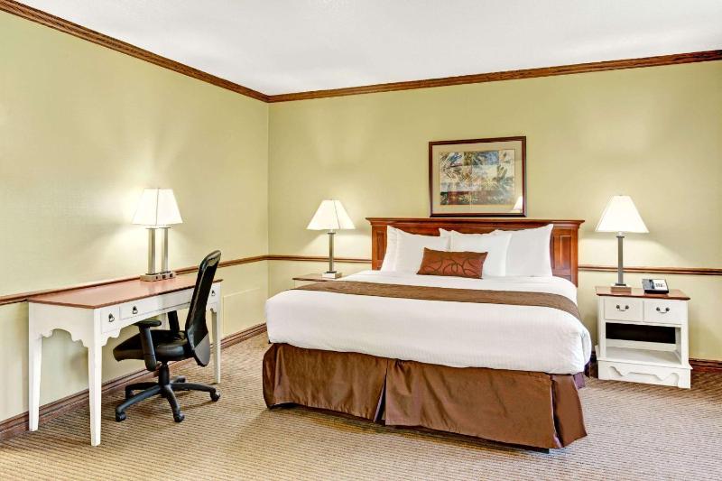 King Room - Pet Friendly/Non-Smoking image 1