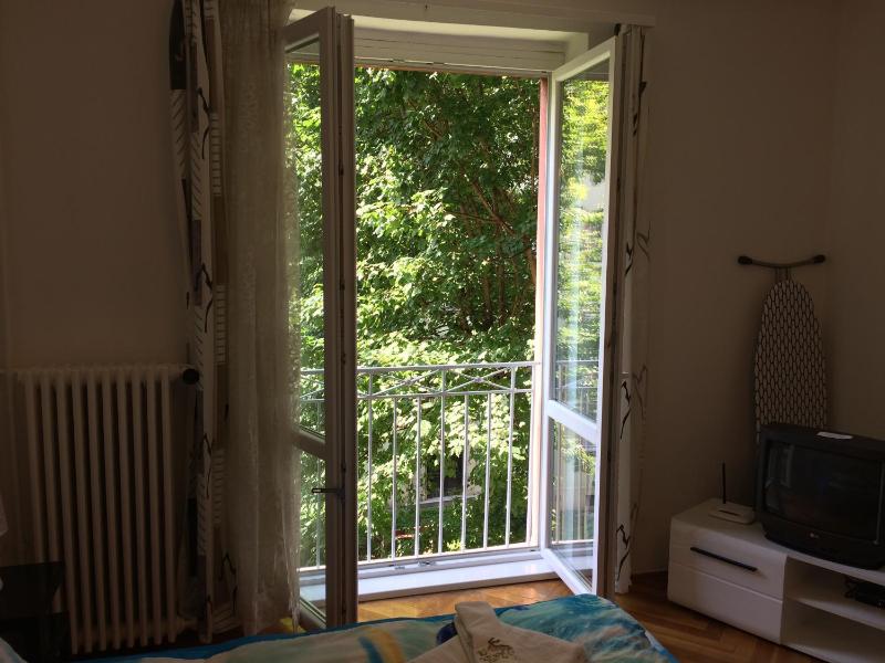 One-Bedroom Apartment image 3