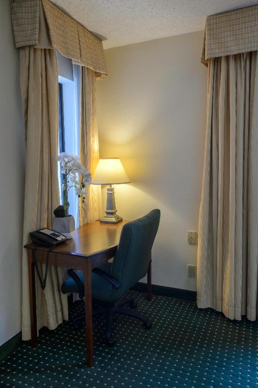 King Studio Suite image 2
