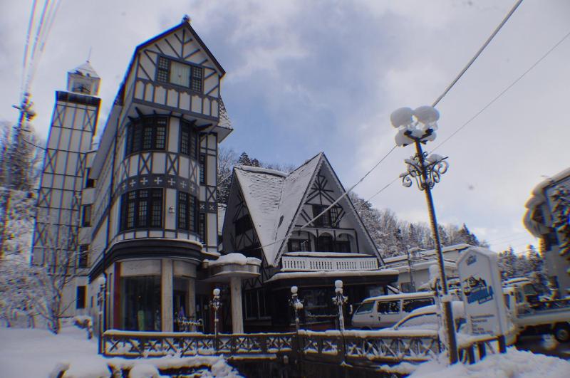 Hakuba Gondola Hotel - image 36