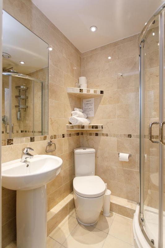 Large Single Room image 4