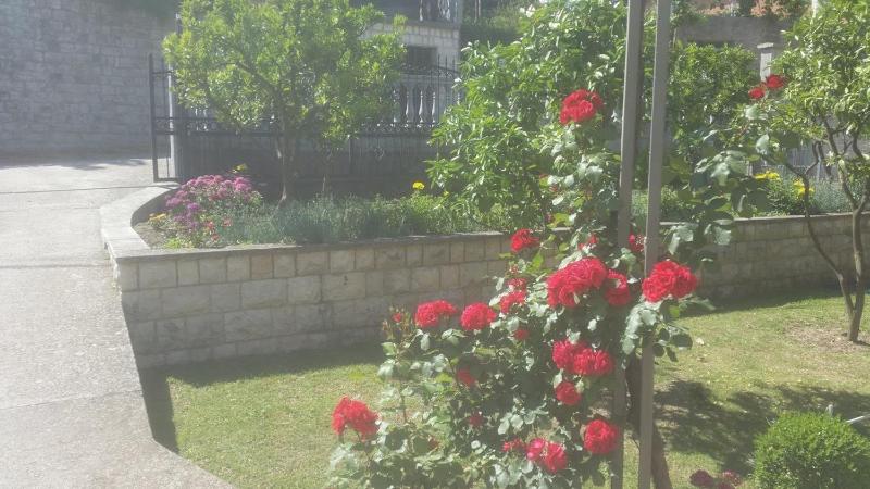 Guesthouse Kodre - image 6