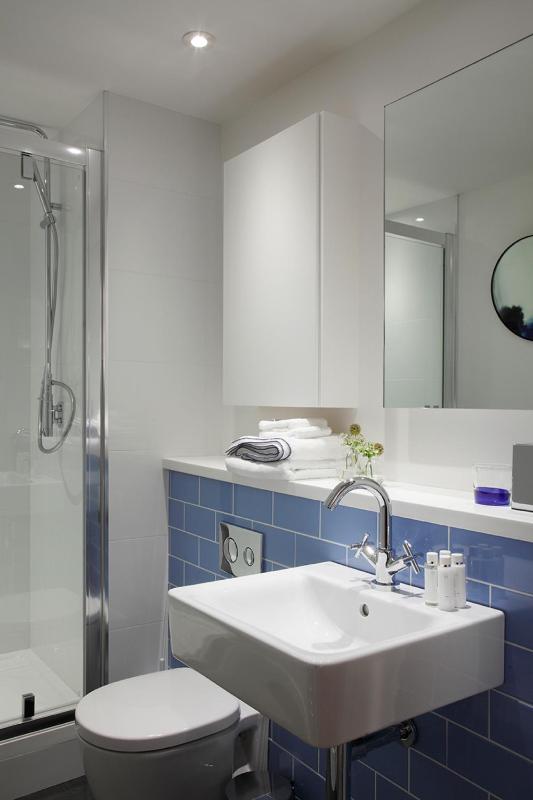 Standard One-Bedroom Apartment image 2